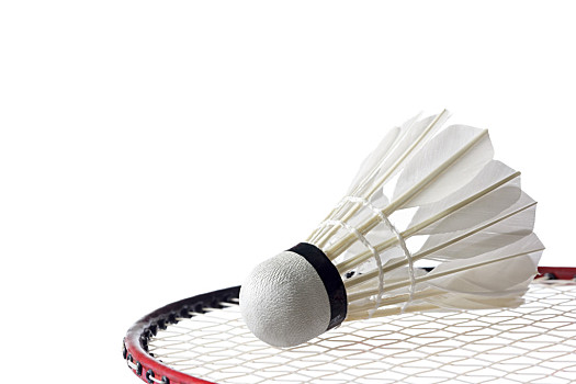 中文与粉丝 中文与粉丝