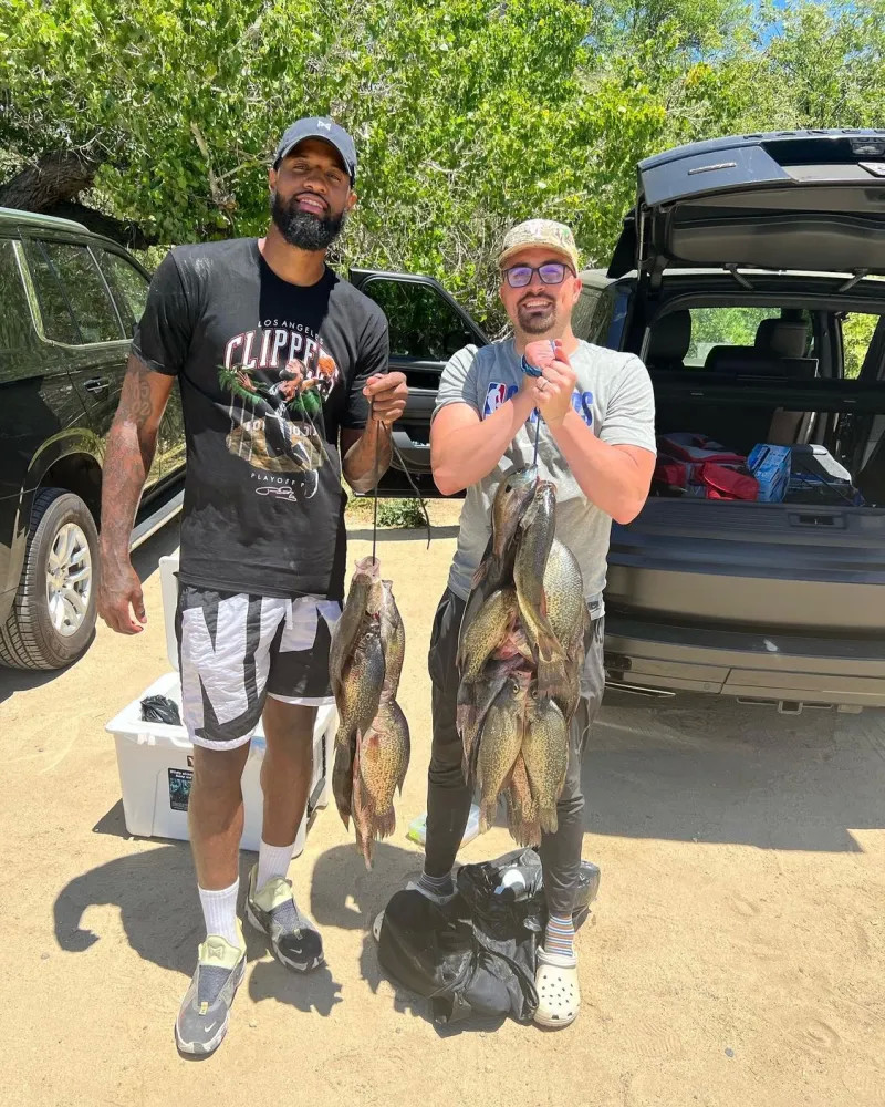 一旦情绪被 一旦情绪被