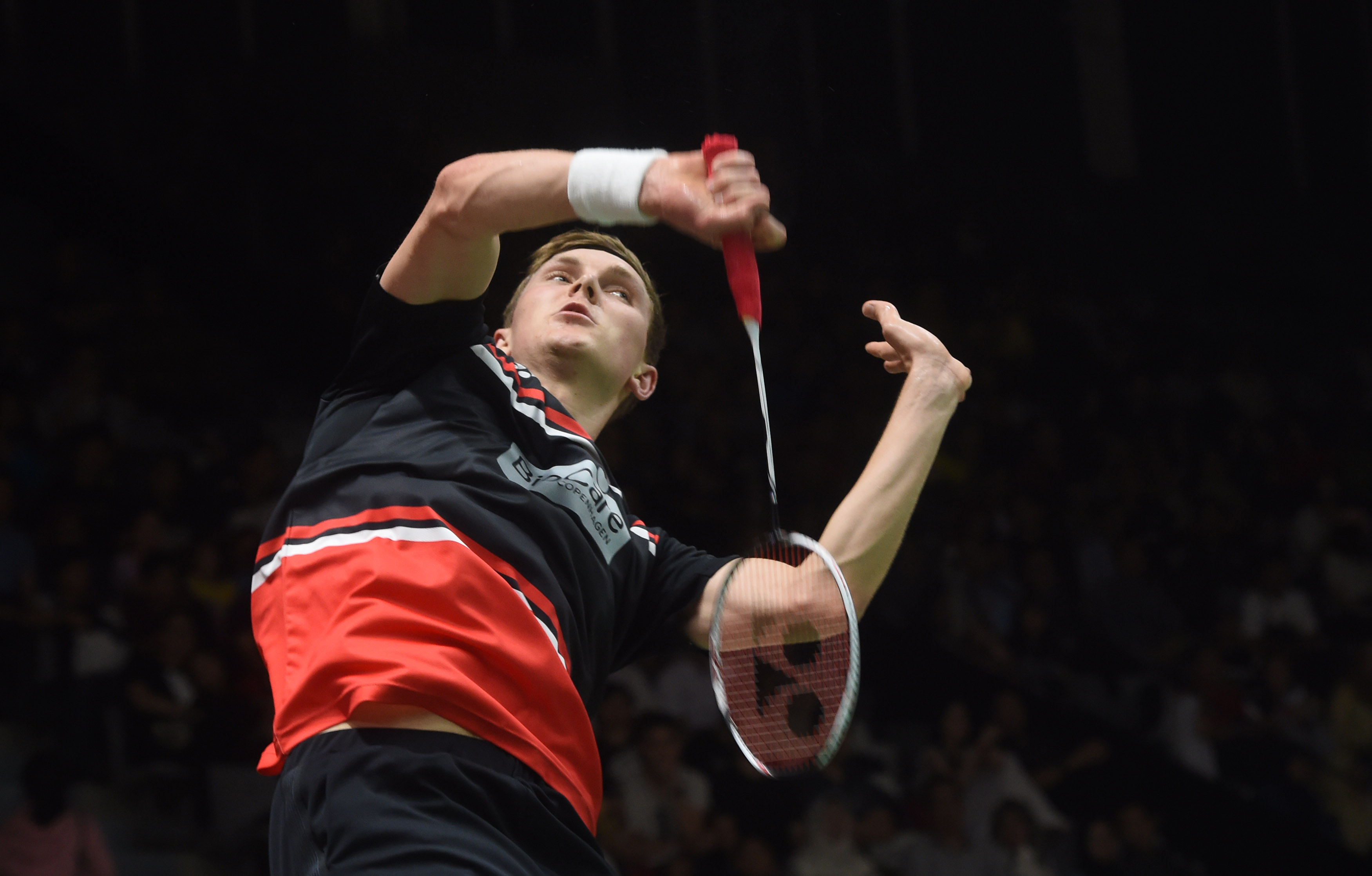 他们才萌生 他们才萌生