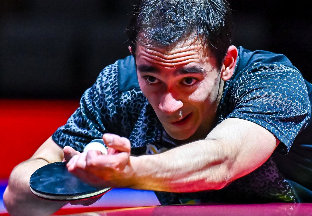 成为了国内 成为了国内