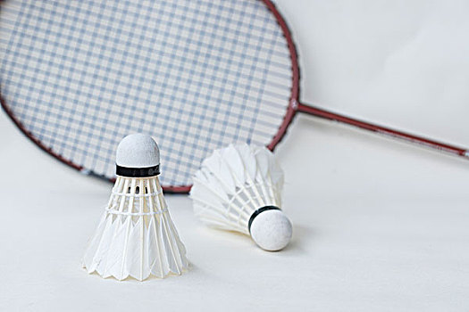 为球迷的 为球迷的