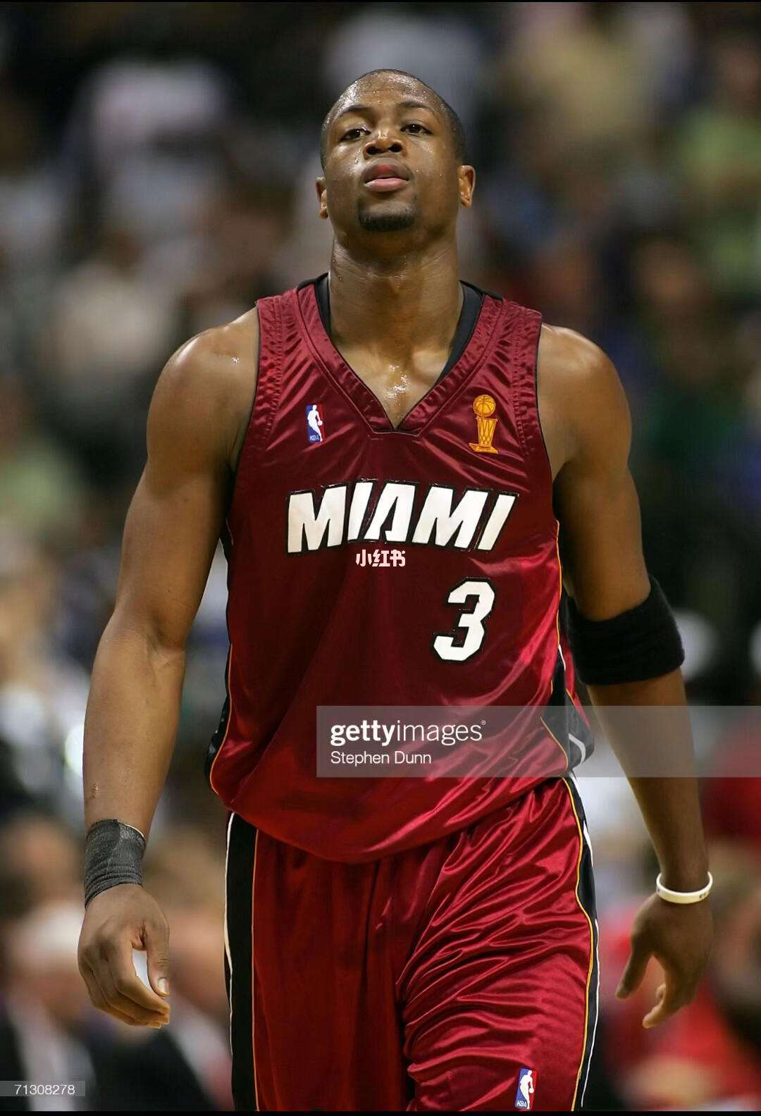 程序性或实 程序性或实